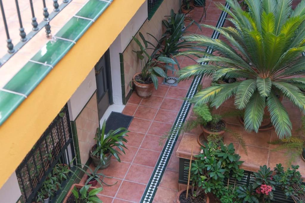 Apartamento Junto A Las Setas De Sevilla Εξωτερικό φωτογραφία